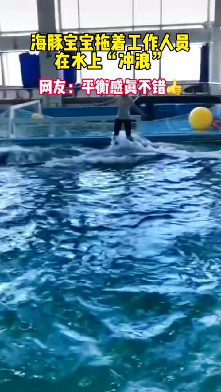 羊肉怎么做才好吃?-专业问答交流平台